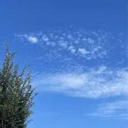 ymm+aの画像