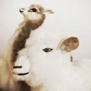 pienaの画像