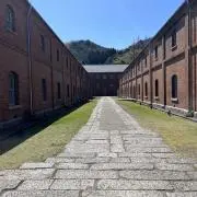 てるみんの画像