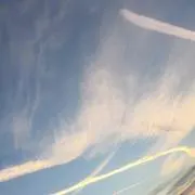 まろの画像