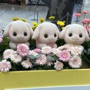 みさもの画像