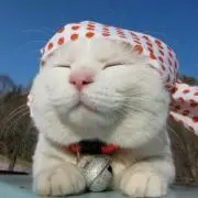 カンフー