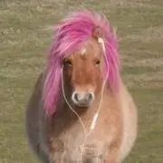 aの画像
