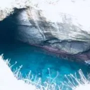 KIDSの画像