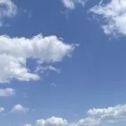 yu yuの画像