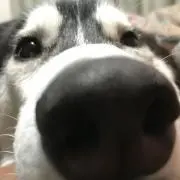 fumitasuの画像