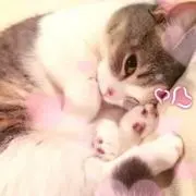 みゅう