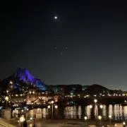 アボカドの画像