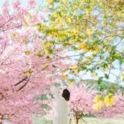 Mi☺︎の画像