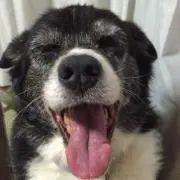H☆K--T☆MAMAの画像