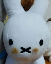 はなぽっちんの画像