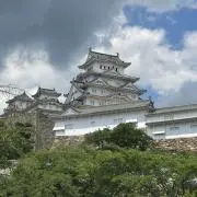 おまめ