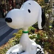 とーちゃんの画像
