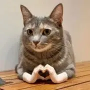 賢示