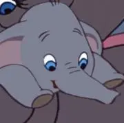 もちもちだんぼの画像