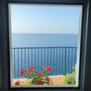 mint12の画像