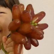popoプロフ必読！の画像