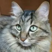 U＊プロフ閲覧願いますの画像