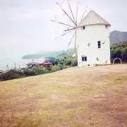 まぽぽの画像