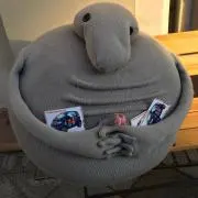 りゅうたの画像