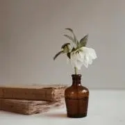 LITHO. ◌ ❁の画像