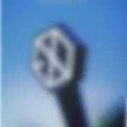 ととりーのの画像