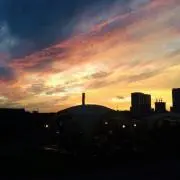 yoomの画像