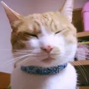 五郎丸