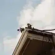 りゅの画像