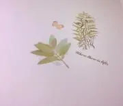 モクメ