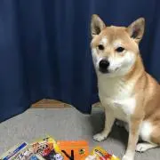 プー太郎