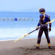 野大