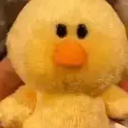 もる‪♡の画像