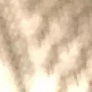 D/N