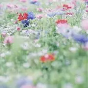 BeBeの画像