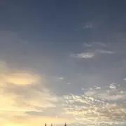 かめ☆