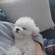 ミルミル
