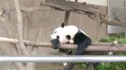 ジェイ