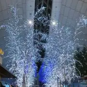 たたみの画像
