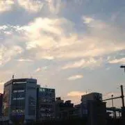 Y.Kの画像