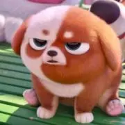 まりものもりの画像