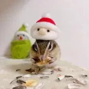 りょの画像