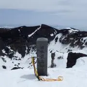 モリコロの画像