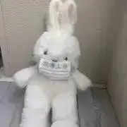 ゆの画像
