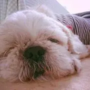 ささっち✨プロフ必須