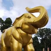 しょうこ