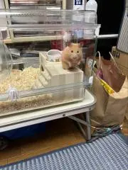 ひろ
