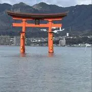 リカルメの画像