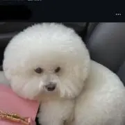 Image of Ooonuk!