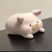 にゃんちゃんの画像